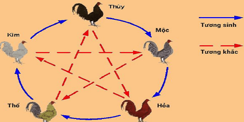 Một số lưu ý trong cách xem màu mạng đá gà