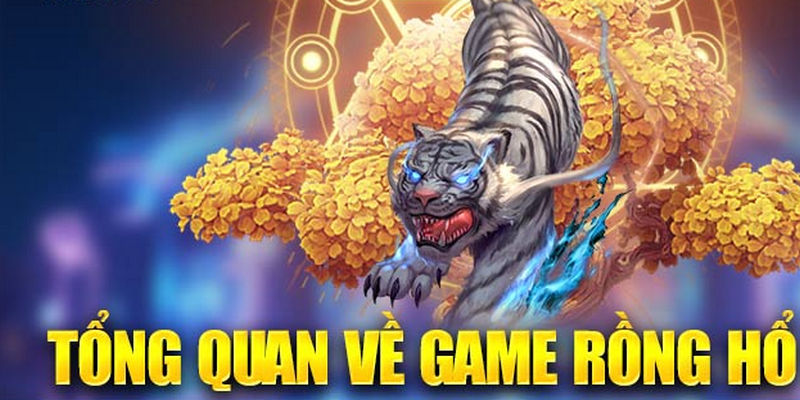 Game bài Rồng Hổ thu hút đông đảo người chơi tham gia
