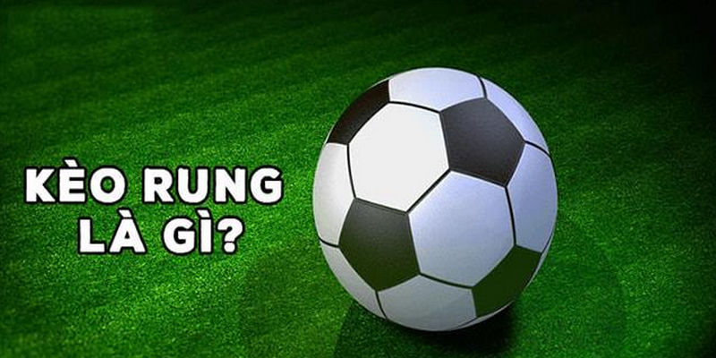 Kèo rung là gì và khám phá những bí quyết soi cược cực chuẩn